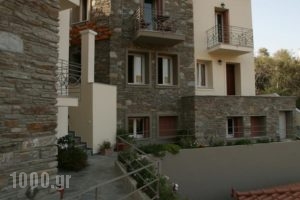 Rastoni Apartments_accommodation_in_Apartment_Cyclades Islands_Andros_Andros City