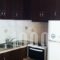 Olympic Holiday Zigos_travel_packages_in_Epirus_Thesprotia_Grekochori