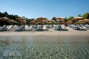 Kripis Studio Pefkohori_travel_packages_in_Macedonia_Halkidiki_Pefkochori