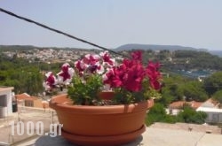 Ikos Studios and Apartments in Athens, Attica, Central Greece