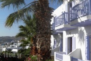 Anastasios Sevasti_best prices_in_Hotel_Cyclades Islands_Mykonos_Mykonos ora