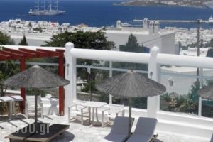 Anastasios Sevasti_holidays_in_Hotel_Cyclades Islands_Mykonos_Mykonos ora