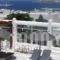 Anastasios Sevasti_holidays_in_Hotel_Cyclades Islands_Mykonos_Mykonos ora