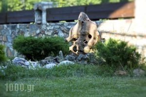 T'aloni Toy Kir Thanasi Hotel & Spa_holidays_in_Hotel_Macedonia_Drama_Kato Nevrokopi