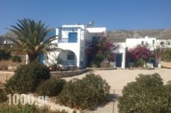 Sunflower studios in Karpathos Rest Areas, Karpathos, Dodekanessos Islands