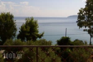 Azalea Studios_holidays_in_Apartment_Sporades Islands_Skiathos_Skiathos Chora