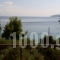 Azalea Studios_holidays_in_Apartment_Sporades Islands_Skiathos_Skiathos Chora