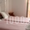 Zas Studios_best deals_Hotel_Cyclades Islands_Naxos_Naxos chora