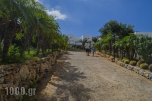 Lambis Studios_best deals_Hotel_Dodekanessos Islands_Rhodes_Lindos