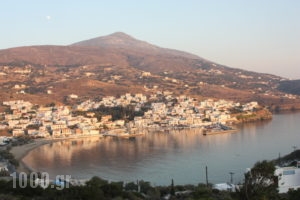 Bella Vista_holidays_in_Apartment_Cyclades Islands_Andros_Batsi