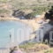 Bella Vista_best deals_Apartment_Cyclades Islands_Andros_Batsi