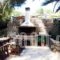 Villa Rena_accommodation_in_Villa_Cyclades Islands_Andros_Batsi