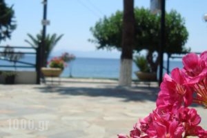 Lappas Rooms_holidays_in_Room_Central Greece_Evia_Limni