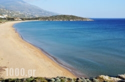 Aithra in Salamina Rest Areas, Salamina, Piraeus Islands - Trizonia