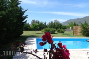 Echinades Resort_accommodation_in_Room_Ionian Islands_Lefkada_Vasiliki