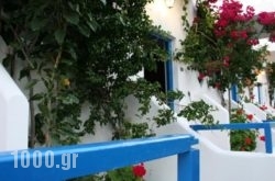 Oasis Apartments in Sfakia, Chania, Crete