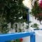 Oasis Apartments_accommodation_in_Apartment_Crete_Chania_Sfakia