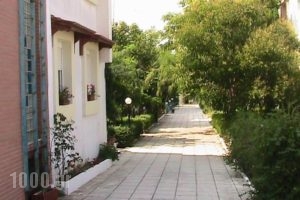 Niki Apartments_holidays_in_Apartment_Macedonia_Halkidiki_Kassandreia