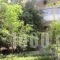 Niki Apartments_best deals_Apartment_Macedonia_Halkidiki_Kassandreia