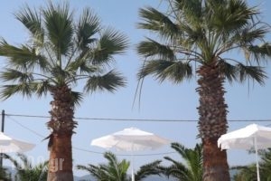 Leonidas Hotel &Amp; Studios_best prices_in_Hotel_Dodekanessos Islands_Kos_Kos Chora