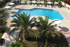 Leonidas Hotel &Amp; Studios_accommodation_in_Hotel_Dodekanessos Islands_Kos_Kos Chora