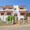 Anthi Studios_lowest prices_in_Apartment_Cyclades Islands_Naxos_Agia Anna