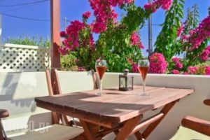 Anthi Studios_holidays_in_Apartment_Cyclades Islands_Naxos_Agia Anna