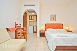 Anthi Studios_travel_packages_in_Cyclades Islands_Naxos_Agia Anna