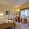 Asteras_best prices_in_Hotel_Macedonia_Halkidiki_Sarti