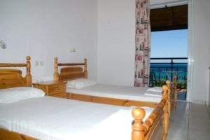 Vaso -Alykanas Studios_holidays_in_Room_Ionian Islands_Zakinthos_Alikanas