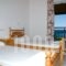 Vaso -Alykanas Studios_holidays_in_Room_Ionian Islands_Zakinthos_Alikanas