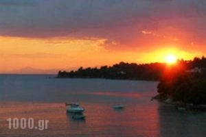 Kolios Beach Seaview Studios_best prices_in_Hotel_Sporades Islands_Skiathos_Skiathosst Areas