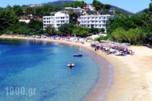 Kolios Beach Seaview Studios_travel_packages_in_Sporades Islands_Skiathos_Skiathosst Areas