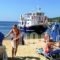 Kolios Beach Seaview Studios_holidays_in_Hotel_Sporades Islands_Skiathos_Skiathosst Areas