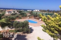 Elia Stavros Villas in Karpathos Chora, Karpathos, Dodekanessos Islands