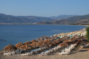 Houdis Houses_holidays_in_Room_Peloponesse_Arcadia_Doliana