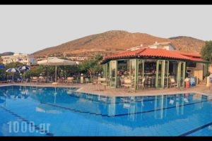 Villa Vicky_accommodation_in_Villa_Crete_Heraklion_Chersonisos