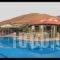 Villa Vicky_accommodation_in_Villa_Crete_Heraklion_Chersonisos