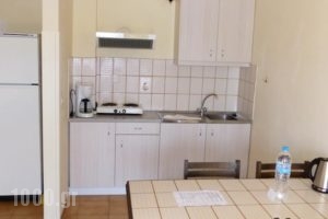 Anthemis Hotel Apartments_lowest prices_in_Apartment_Aegean Islands_Samos_Samosst Areas