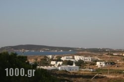 Lazino Studios And Apartments in Piso Livadi, Paros, Cyclades Islands