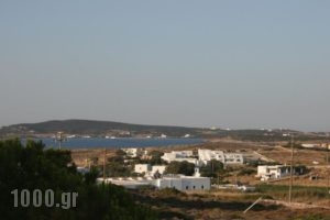 Lazino Studios And Apartments_accommodation_in_Apartment_Cyclades Islands_Paros_Piso Livadi