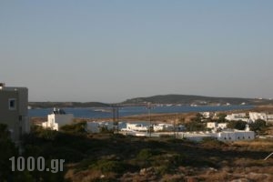 Lazino Studios And Apartments_holidays_in_Apartment_Cyclades Islands_Paros_Piso Livadi