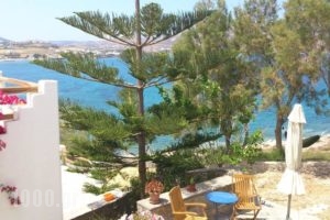 Votsalo Apartments_lowest prices_in_Apartment_Cyclades Islands_Paros_Piso Livadi