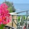 Evia Studios_best deals_Hotel_Central Greece_Evia_Edipsos