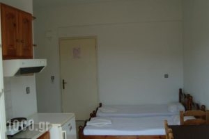 Amarandos Studios - Rooms & Apartments_best prices_in_Room_Ionian Islands_Kefalonia_Fiskardo