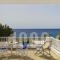 Dolphins Apartments_accommodation_in_Apartment_Cyclades Islands_Sandorini_Sandorini Chora