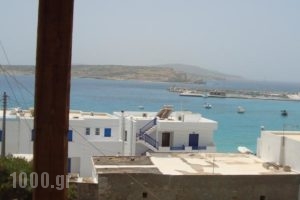 Studios Venetsanos_holidays_in_Hotel_Cyclades Islands_Koufonisia_Koufonisi Chora