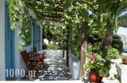 Armonia Studios in Apollonia, Sifnos, Cyclades Islands