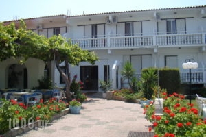 Elektra_accommodation_in_Hotel_Aegean Islands_Thasos_Thasos Chora