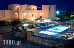 Anessis Apartments in Naxos Rest Areas, Naxos, Cyclades Islands